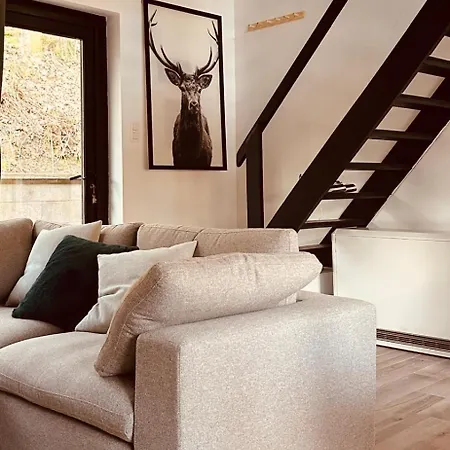Nid Cosy En Foret